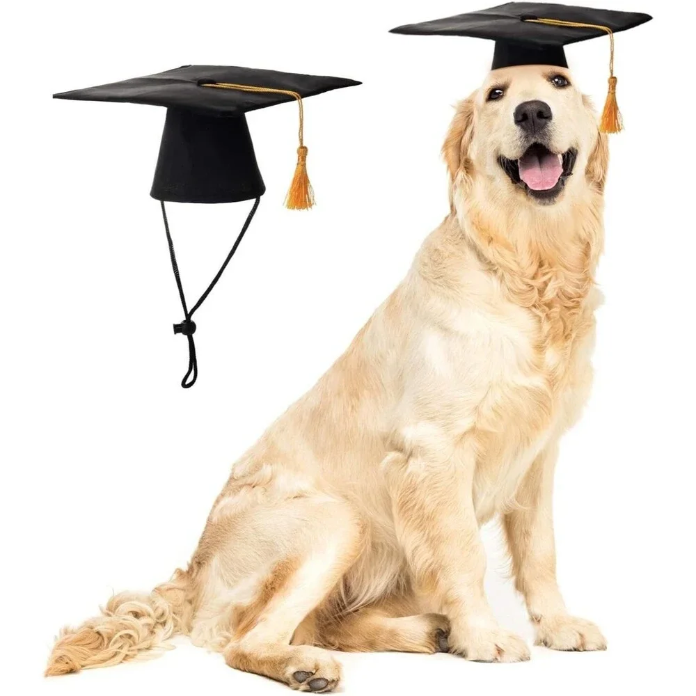 Pet Graduation Caps Small Dog Graduation Hats with Yellow Tassel Costume